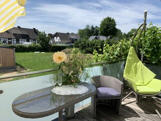 Weinreben am Südblickbalkon