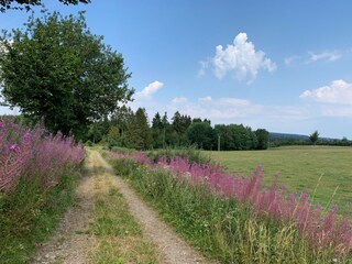 Hasselbach, alter Fußweg nach Monschau