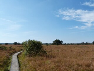 Wandersteg im Venn