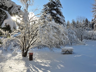 Garten im Winter