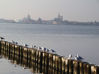 Blick nach Stralsund