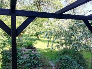 Blick in den Garten