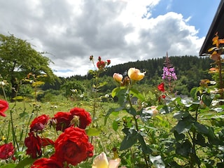 Vakantiehuis Medebach Buitenaudio-opname 7