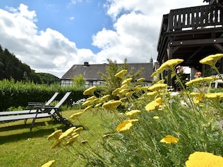 Vakantiehuis Medebach Buitenaudio-opname 11