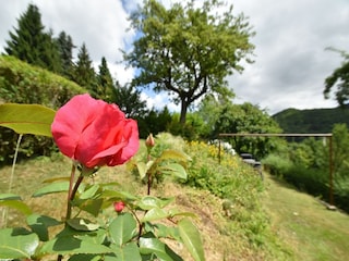 Holiday house Medebach  39