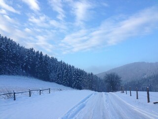 Vakantiehuis Medebach Omgeving 36