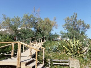 Apartamento de vacaciones San Pietro in Bevagna Entorno 37