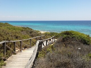 Appartement de vacances San Pietro in Bevagna Environnement 29