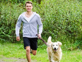 Maison de vacances Hahnenklee Environnement 26