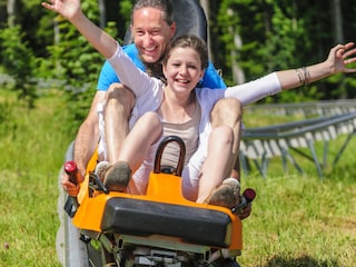 Maison de vacances Hahnenklee Environnement 20