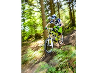 Vakantiehuis Hahnenklee Omgeving 25