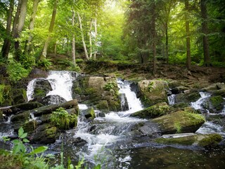 Maison de vacances Hahnenklee Environnement 23