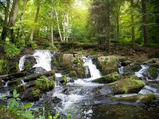 Vakantiehuis Hahnenklee Omgeving 24