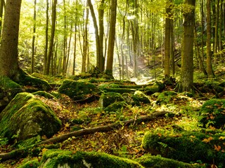 Vakantiehuis Hahnenklee Omgeving 19