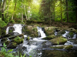 Casa de vacaciones Hahnenklee Entorno 21