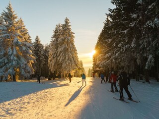 Casa de vacaciones Hahnenklee Entorno 19