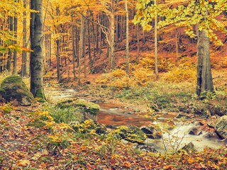 Casa per le vacanze Hahnenklee Ambiente 26