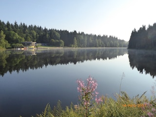 Ferienhaus Hahnenklee Umgebung 23