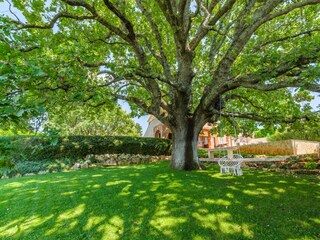 Villa Višnjan Environnement 31