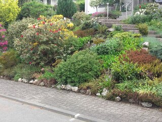 Holiday apartment Winterberg Outdoor Recording 9