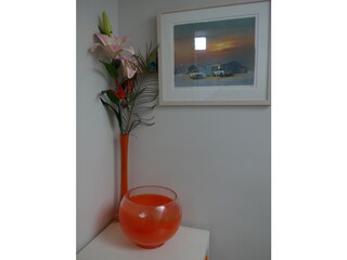 Appartamento Bergen (Holland) Caratteristiche 21