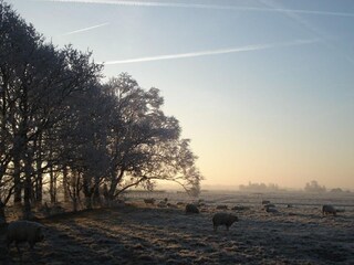 Appartamento Bergen (Holland) Ambiente 26