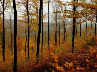 Holiday house Sundern Environment 31