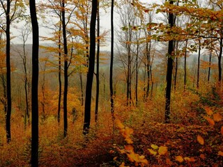 Holiday house Sundern Environment 30