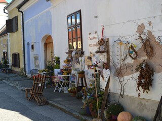 Casa de vacaciones Mönchhof Entorno 20
