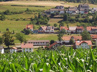Blick auf den Ort Altenlotheim