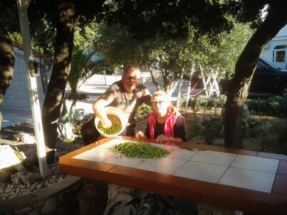 Frau Silke Kolmanič