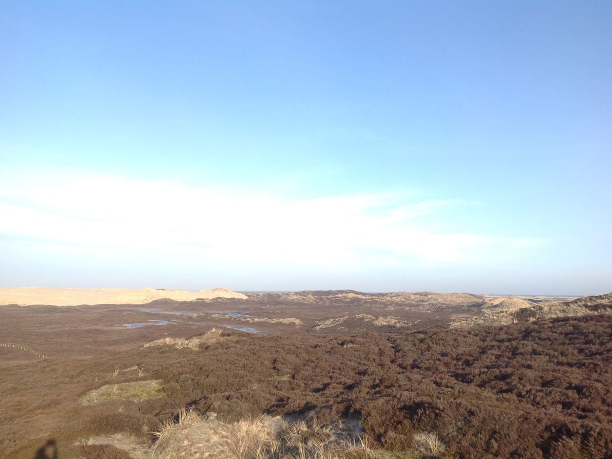 Dünenlandschaft hinter dem Haus