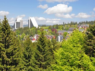 Apartamento de vacaciones Oberhof Entorno 7