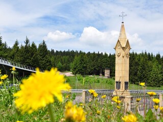 Apartamento de vacaciones Oberhof Entorno 8