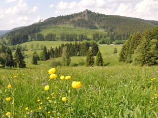 Appartement de vacances Oberhof Environnement 9