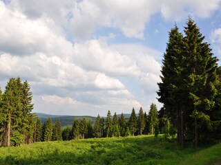 Apartamento de vacaciones Oberhof Entorno 12