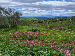 Vakantiehuis Villanueva de la Concepción Omgeving 32