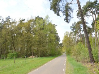 Ferienhaus Stramproy Umgebung 28