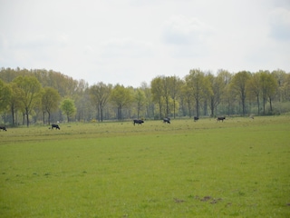 Ferienhaus Stramproy Umgebung 28