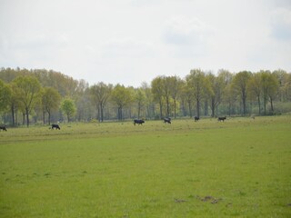 Vakantiehuis Stramproy Omgeving 29