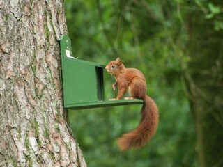 Ferienhaus Stramproy  40