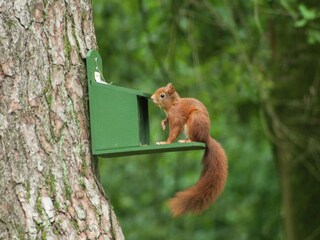 Casa de vacaciones Stramproy  40