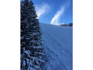 Appartamento per vacanze Partenen Ambiente 22