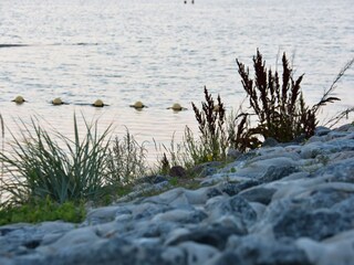 Ferienhaus Büsum Umgebung 22