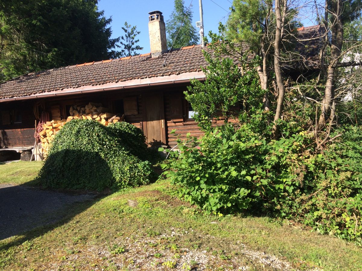 Ferienhaus Blockhütte Bad Kohlgrub, Ammergauer Alpen, Bad Kohlgrub - Frau Annelies Neuner