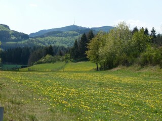 Ferienhaus Hallenberg Außenaufnahme 11