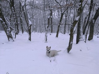 Casa per le vacanze Hallenberg Ambiente 22