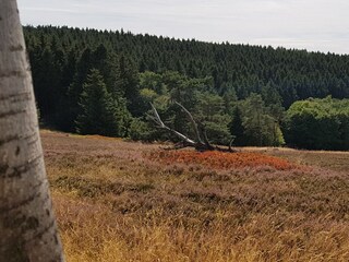 Ferienhaus Hallenberg Umgebung 21