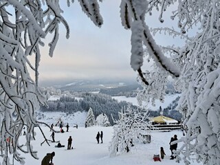 Ferienhaus Hallenberg  41
