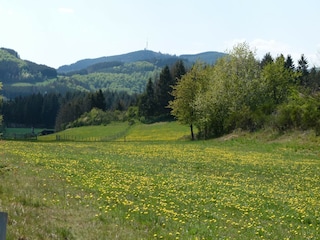 Ferienhaus Hallenberg Außenaufnahme 8